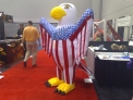 American Eagle