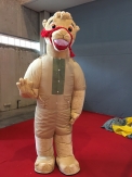 Camel 1
