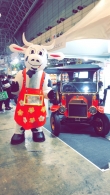 Cow