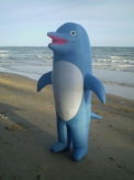 Dolphin