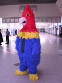 Parrot