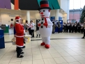 Snowman - Hospital