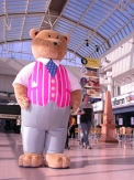Teddy Bear