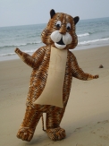 Squirrel