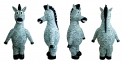 Zebra Design